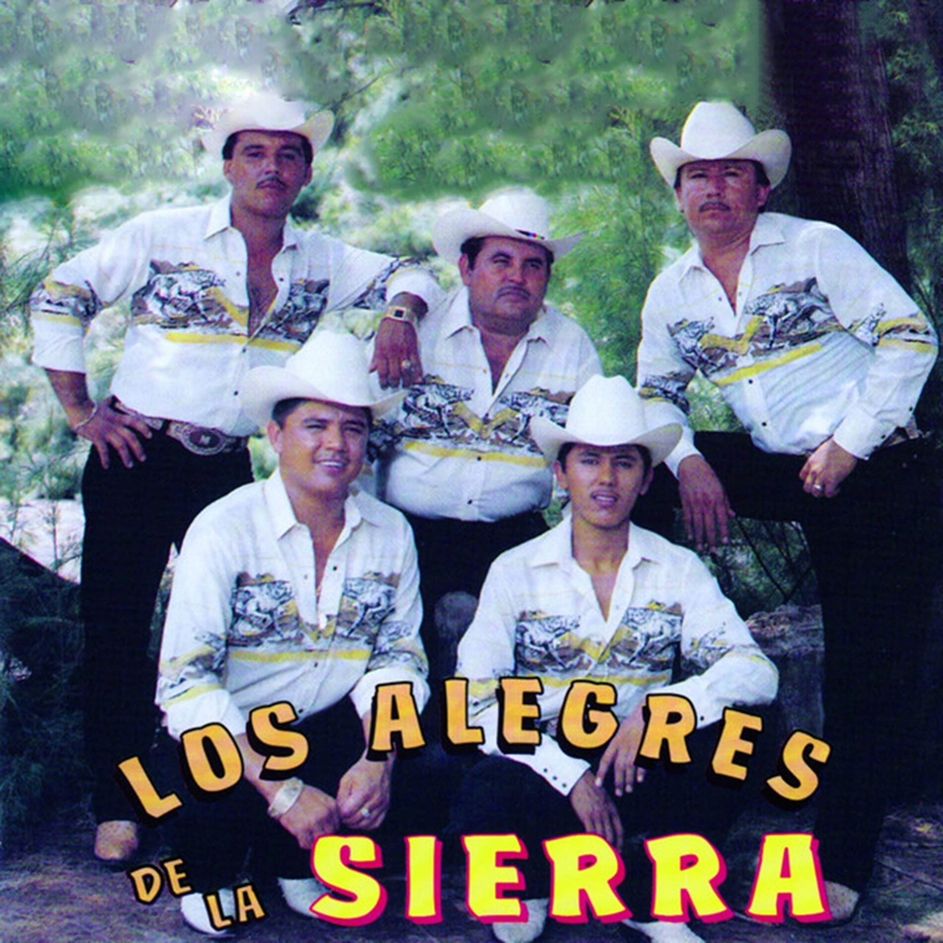 Album cover of Los Alegres de la Sierra