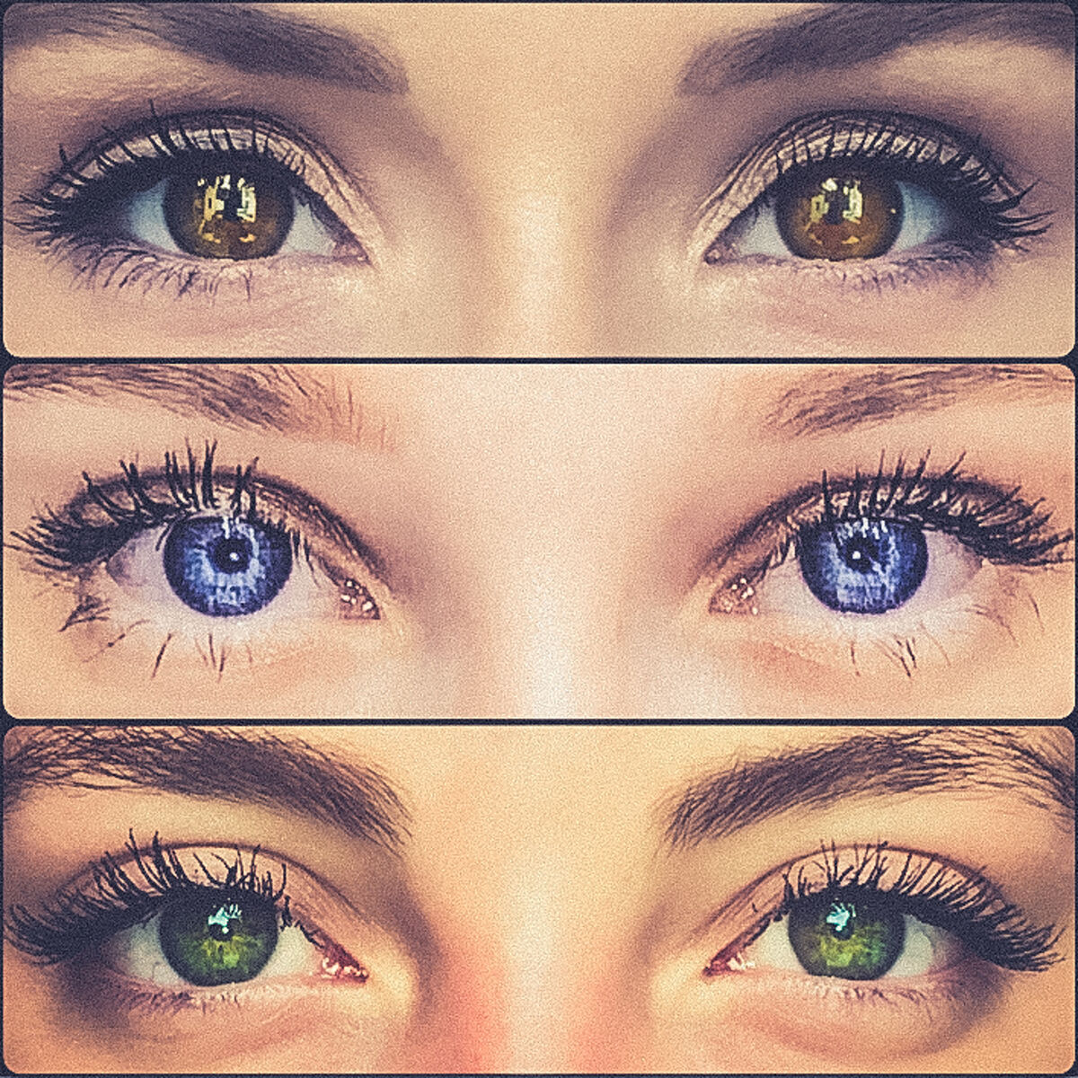 Album cover of Elle me veut