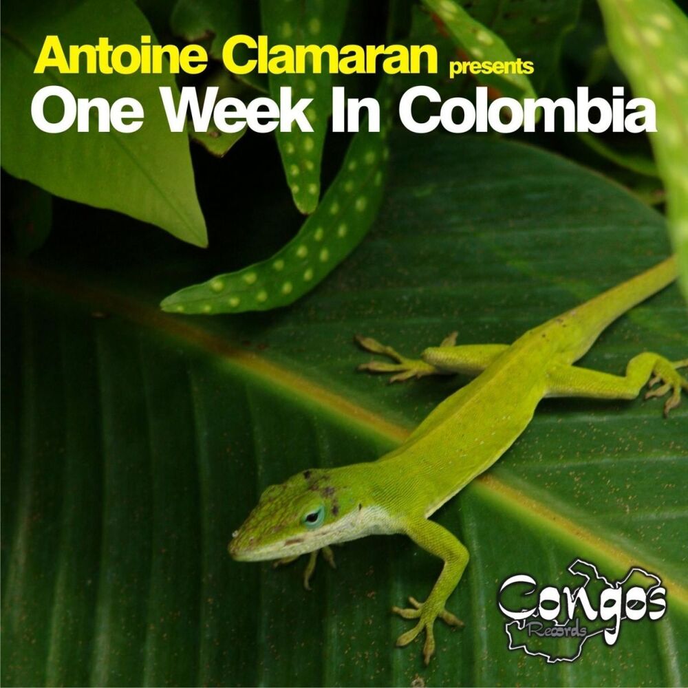 Picture of One Week In Colombia