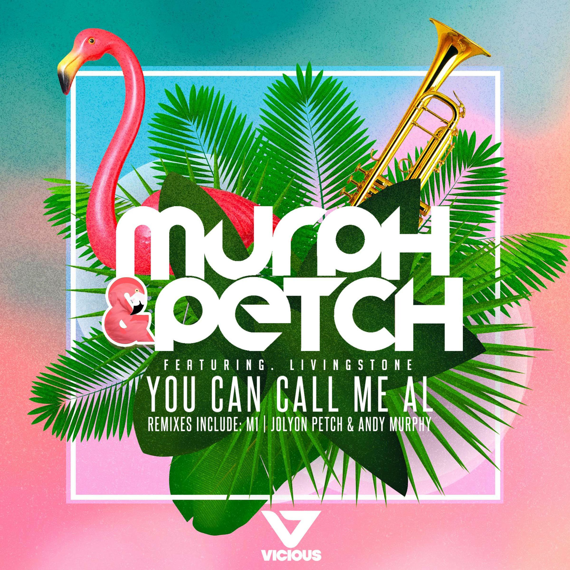 Album cover of You Can Call Me Al
