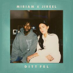 Cover of DITT FEL