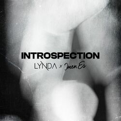 Cover of Introspection