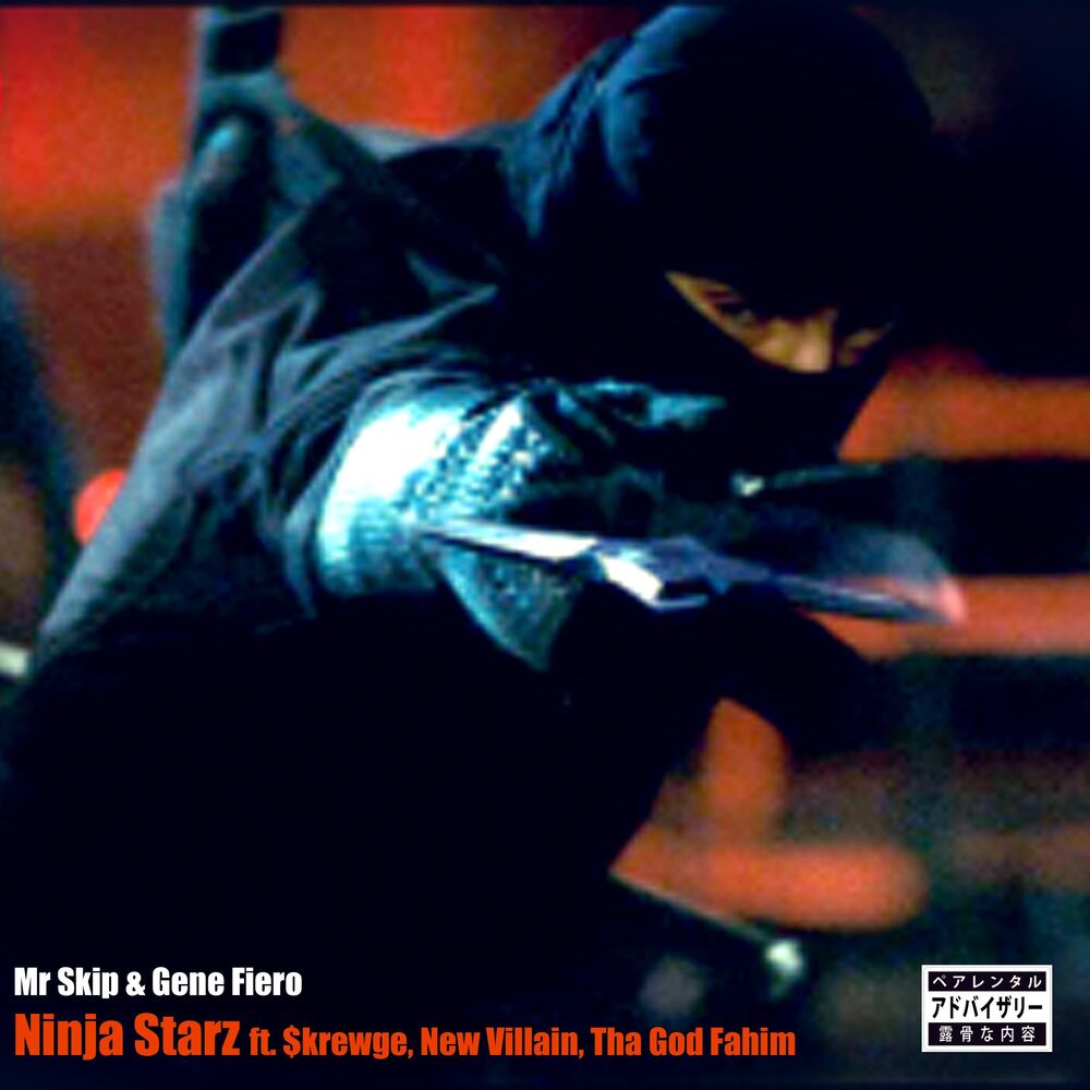 Picture of ninja starz