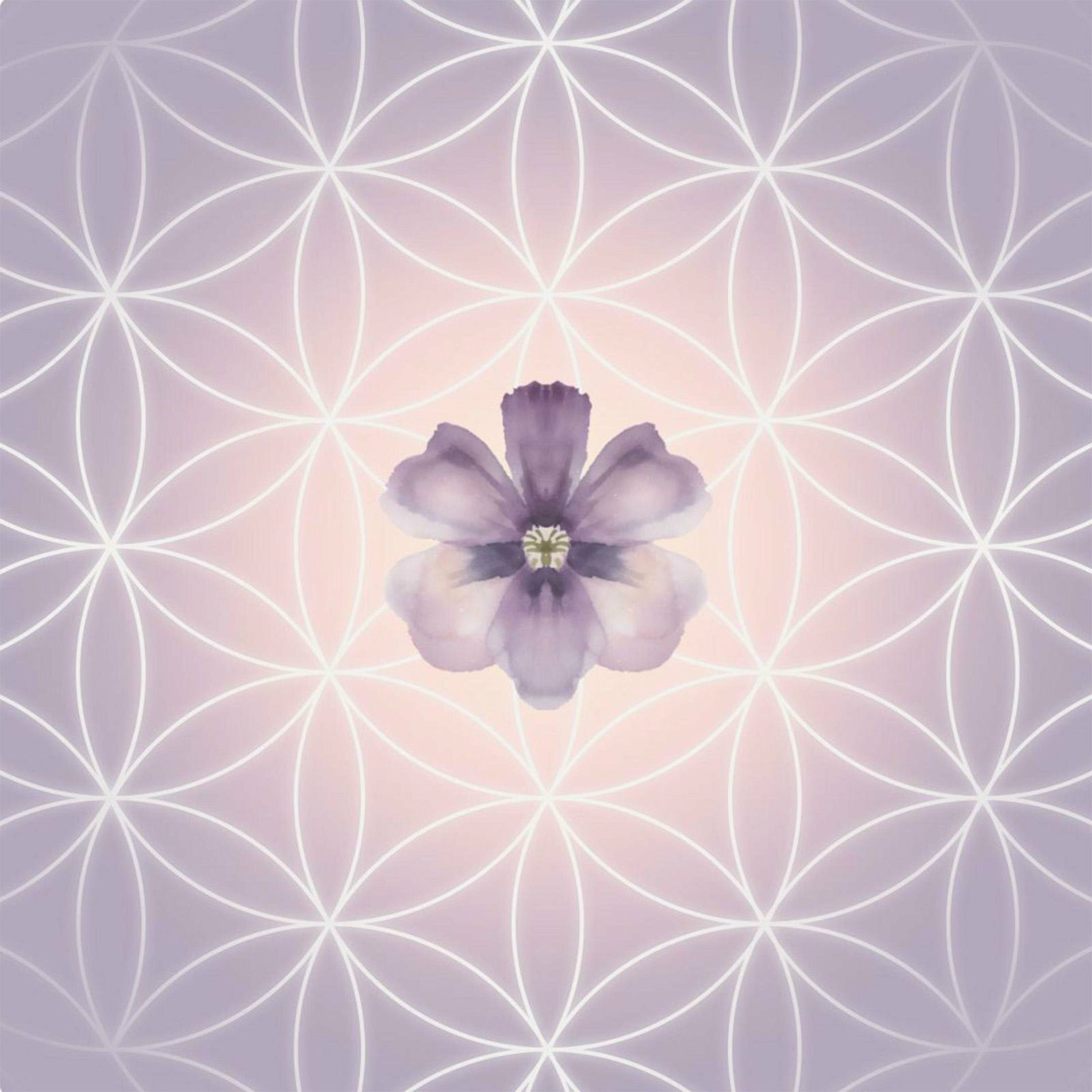 Album cover of Flowers of Life