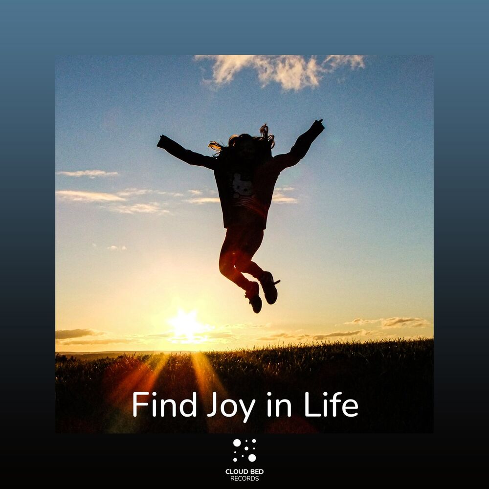 Picture of Find Joy in Life