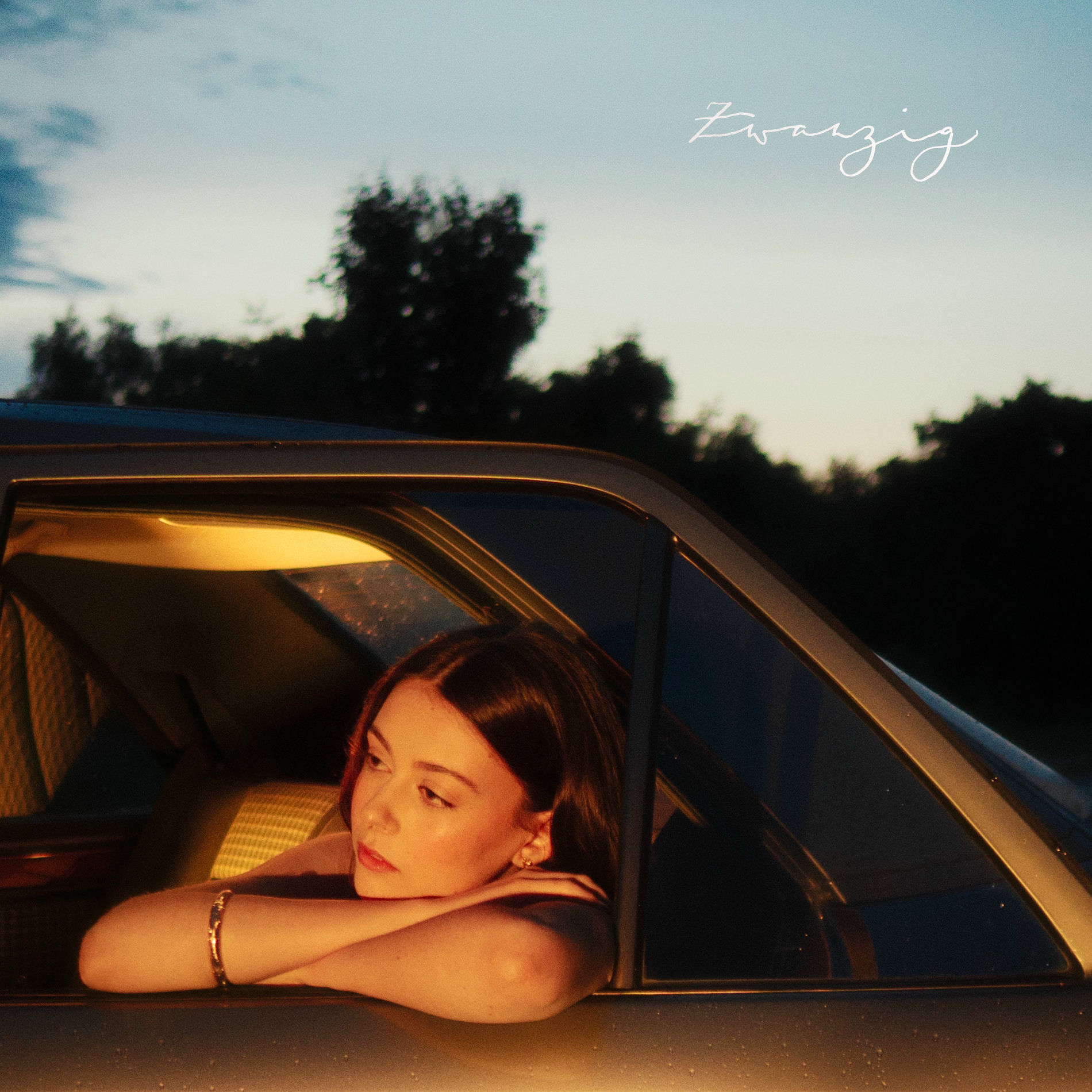 Album cover of Zwanzig