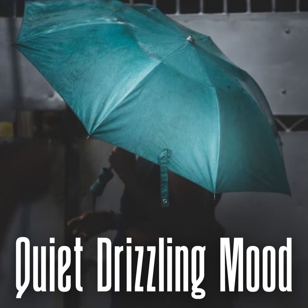 Picture of Quiet Drizzling Mood