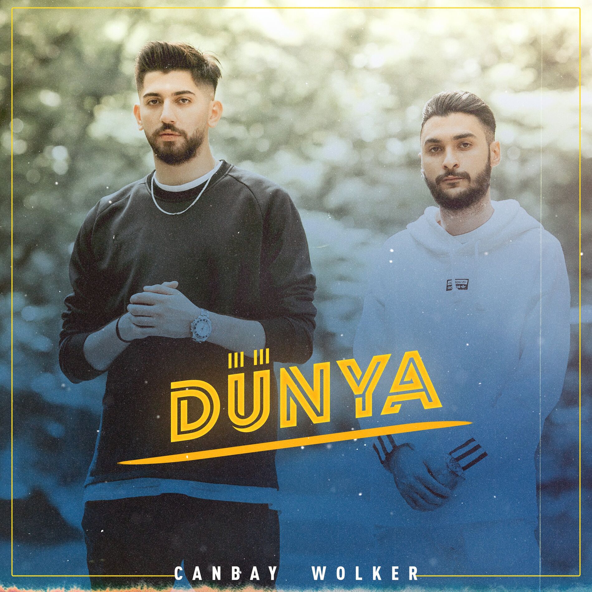 Album cover of Dünya