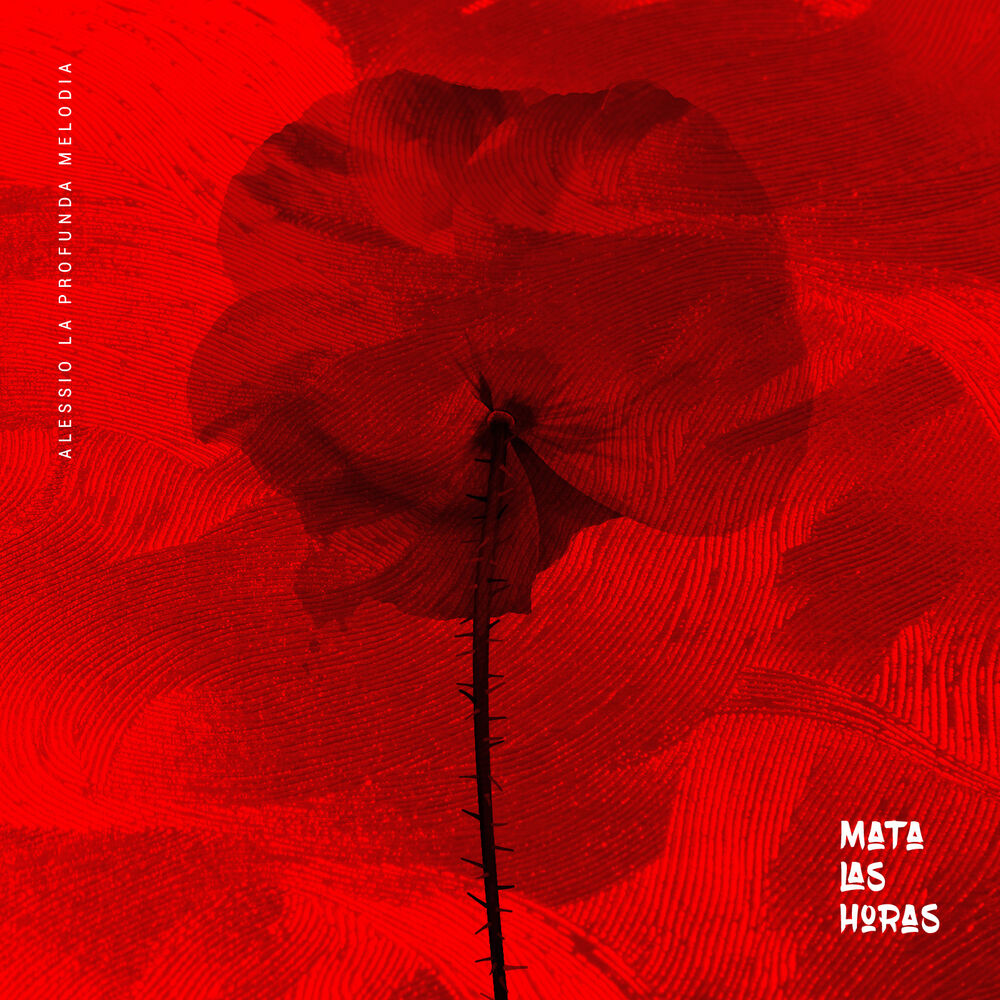 Picture of Mata Las Horas