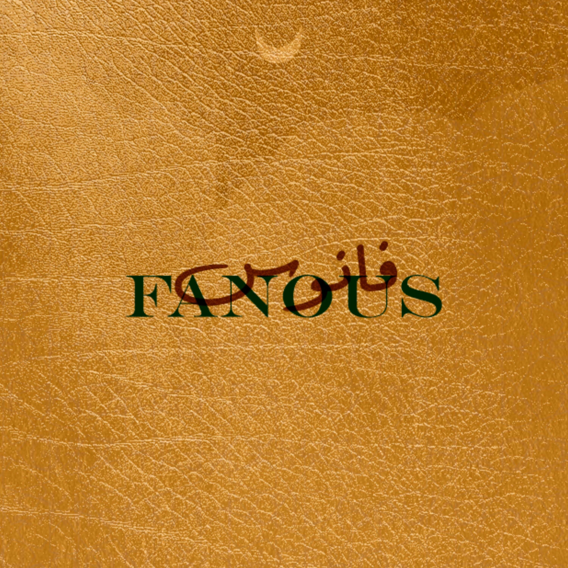 Album cover of FANOUS