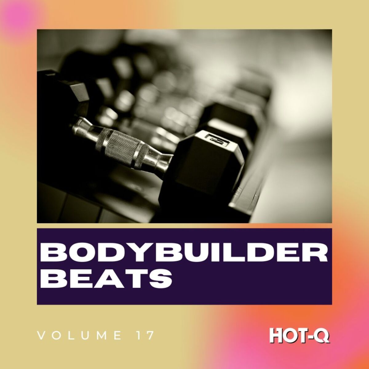 Album cover of Bodybuilder Beats 017