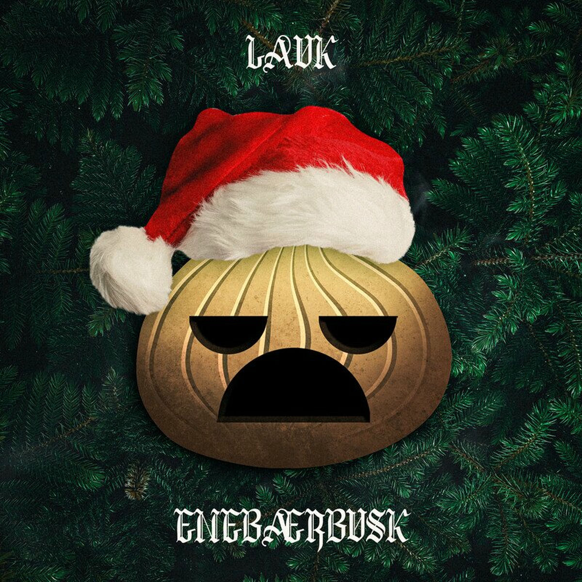 Album cover of Enebærbusk