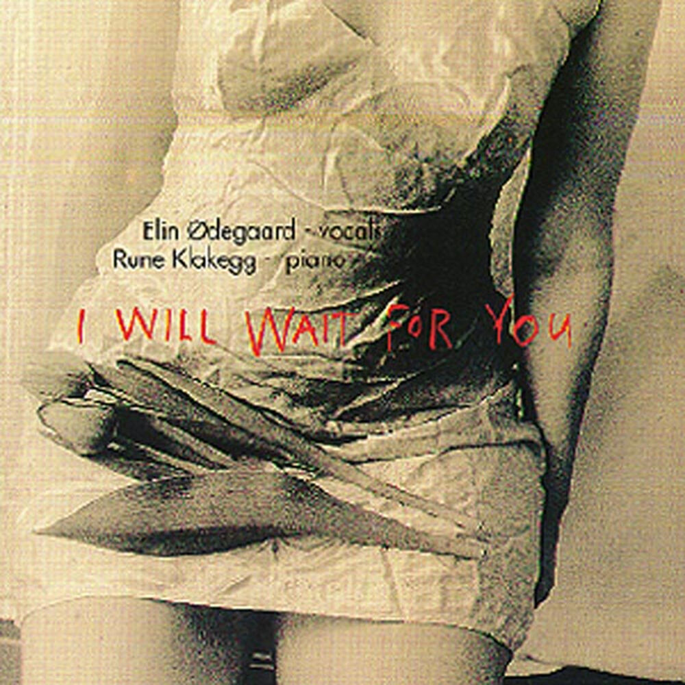 Picture of I Will Wait for You