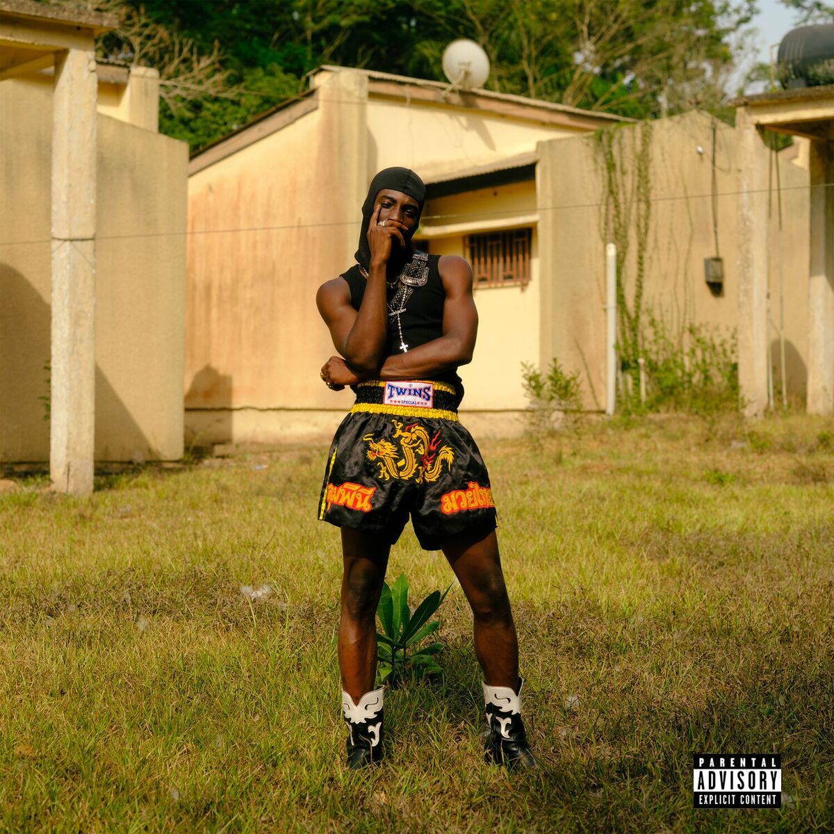 Album cover of Rosalinda