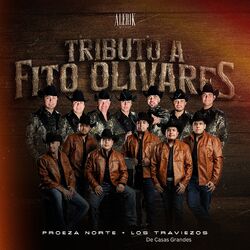 Cover of Tributo a Fito Olivares