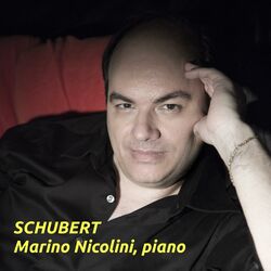 Cover of SCHUBERT Impromptus op 90, Sonatas op 120, op 143, Valses, Dances and more