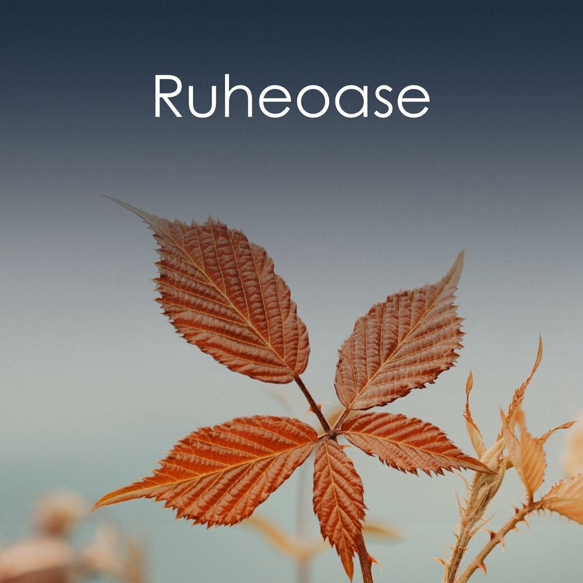 Album cover of Ruheoase