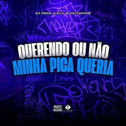 Cover of Querendo ou Não Minha Pica Queria