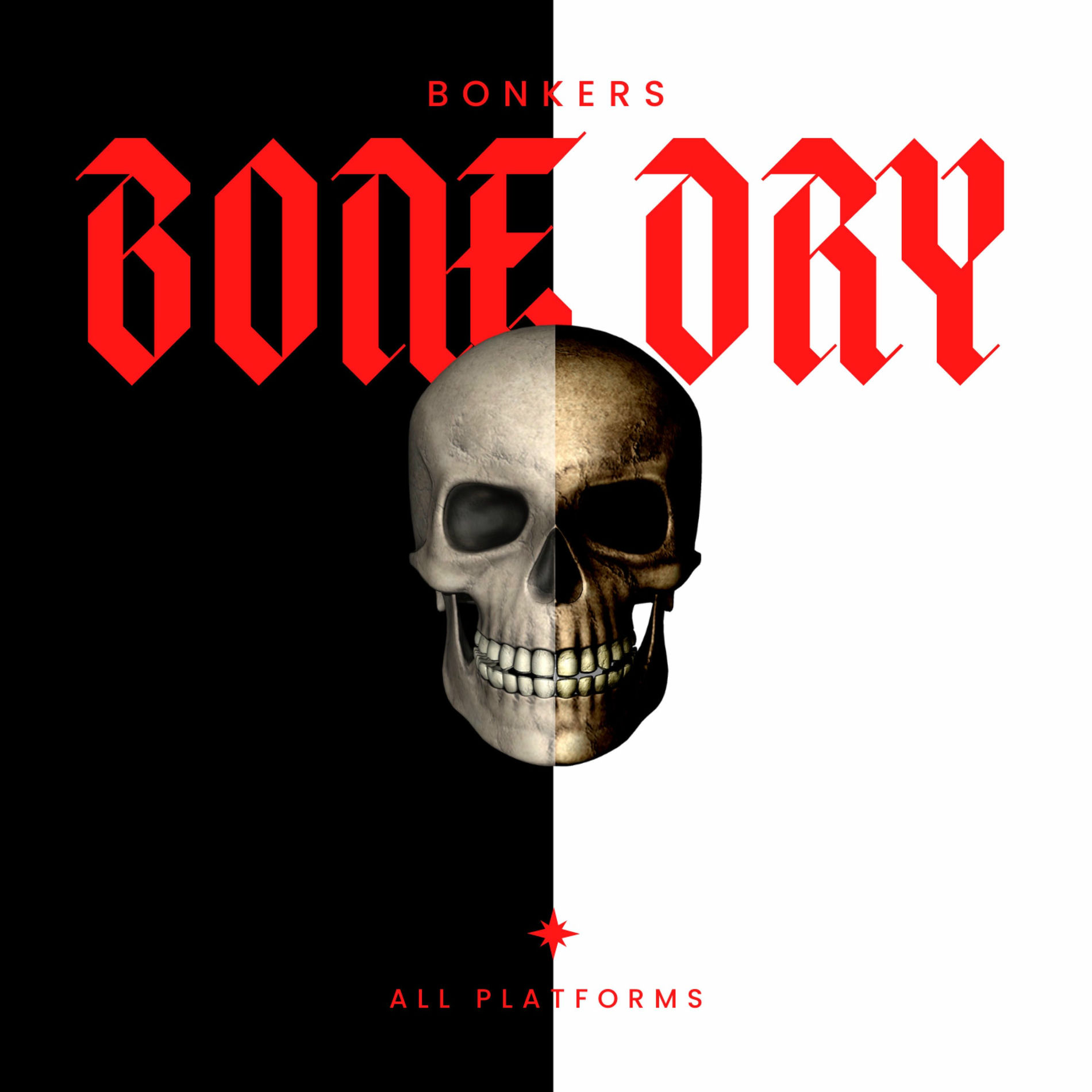 Album cover of ANARCHY BOUNCE