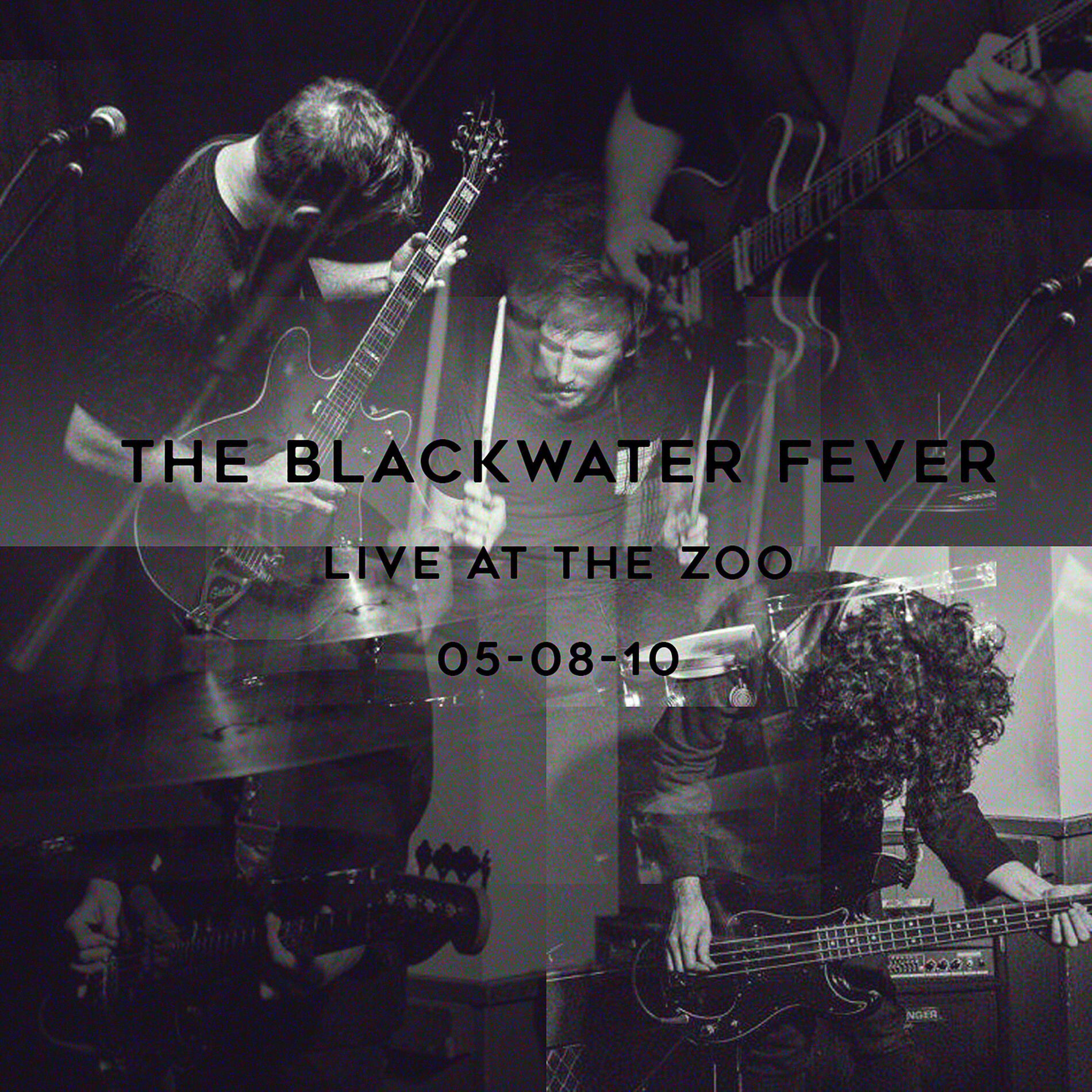 Album cover of Live at the Zoo