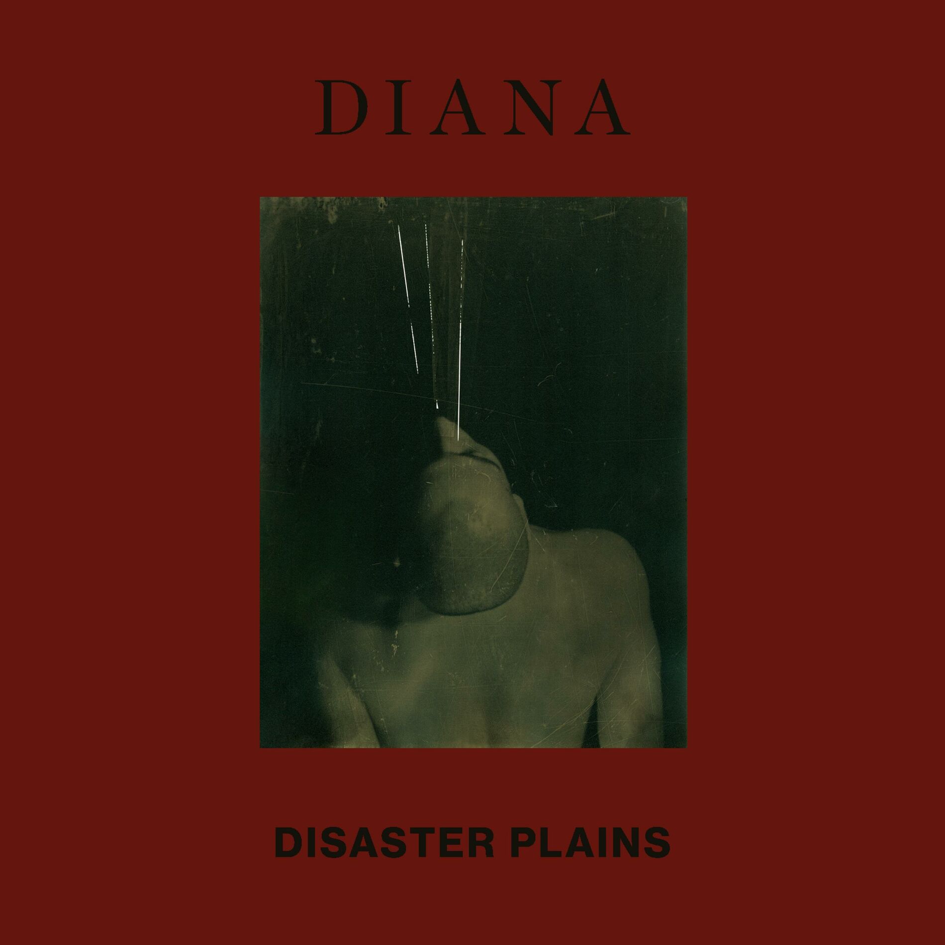 Album cover of Disaster Plains