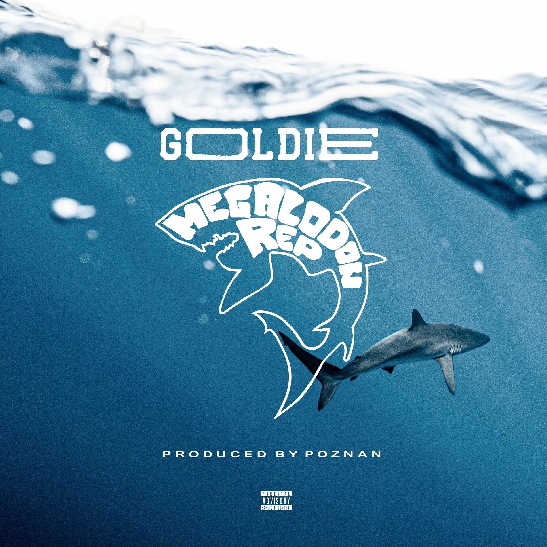 Album cover of Megalodon rep