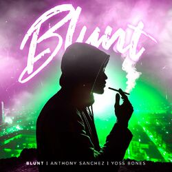Cover of Blunt