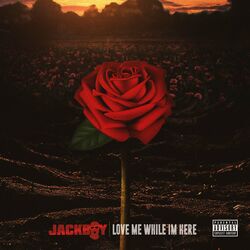 Cover of Love Me While I'm Here