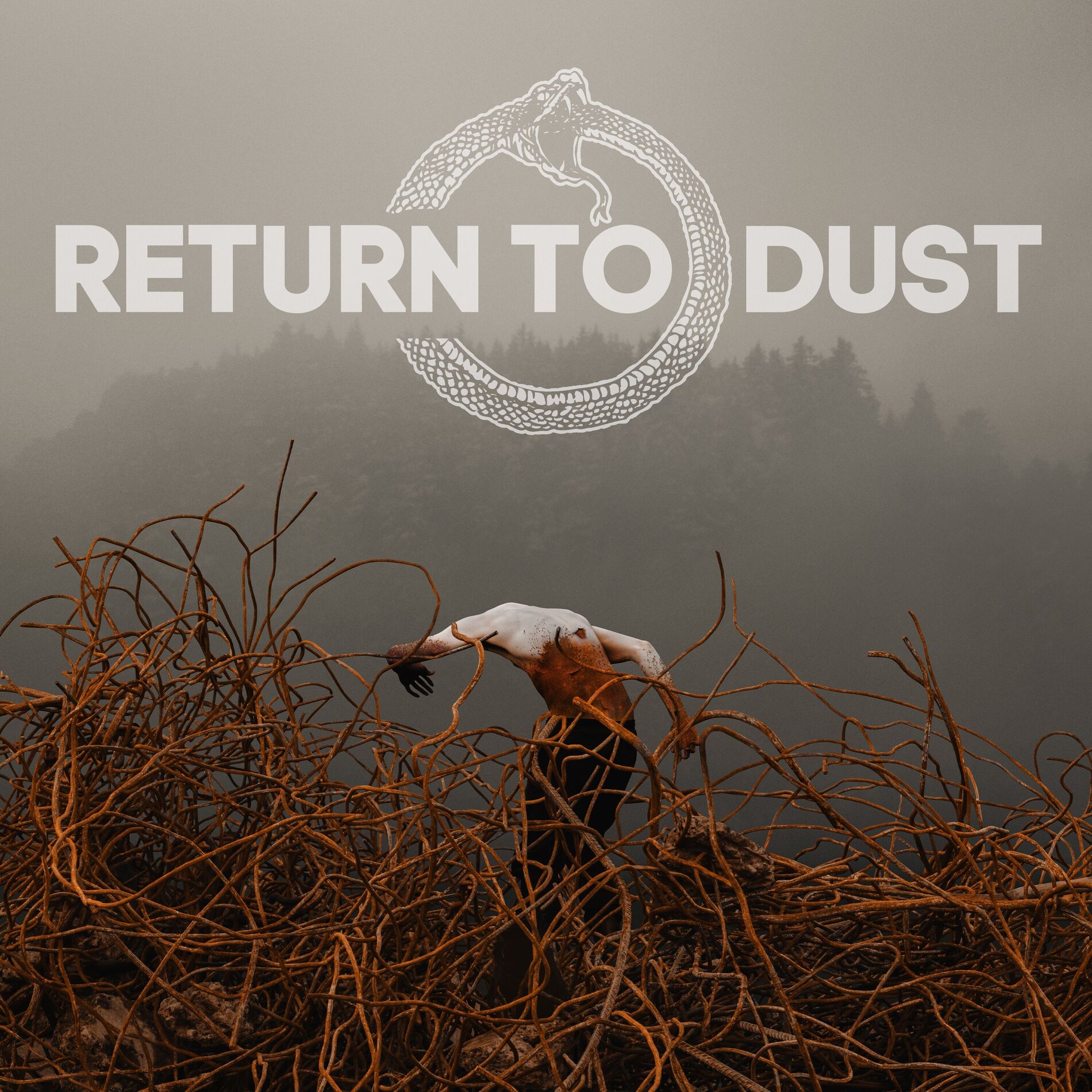 Album cover of Return to Dust