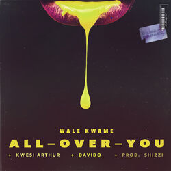 Cover of All over You