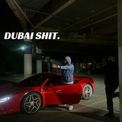 Cover of Dubai Shit