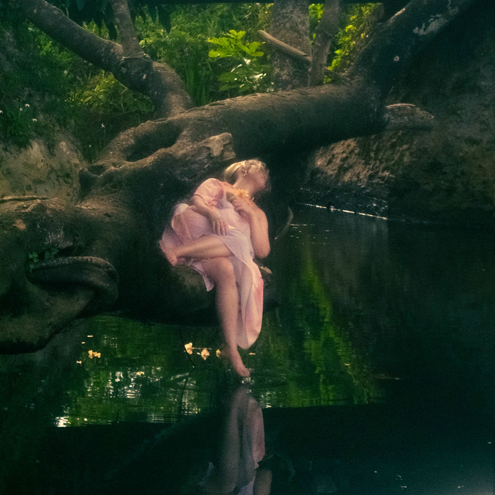 Album cover of Swim, Swim