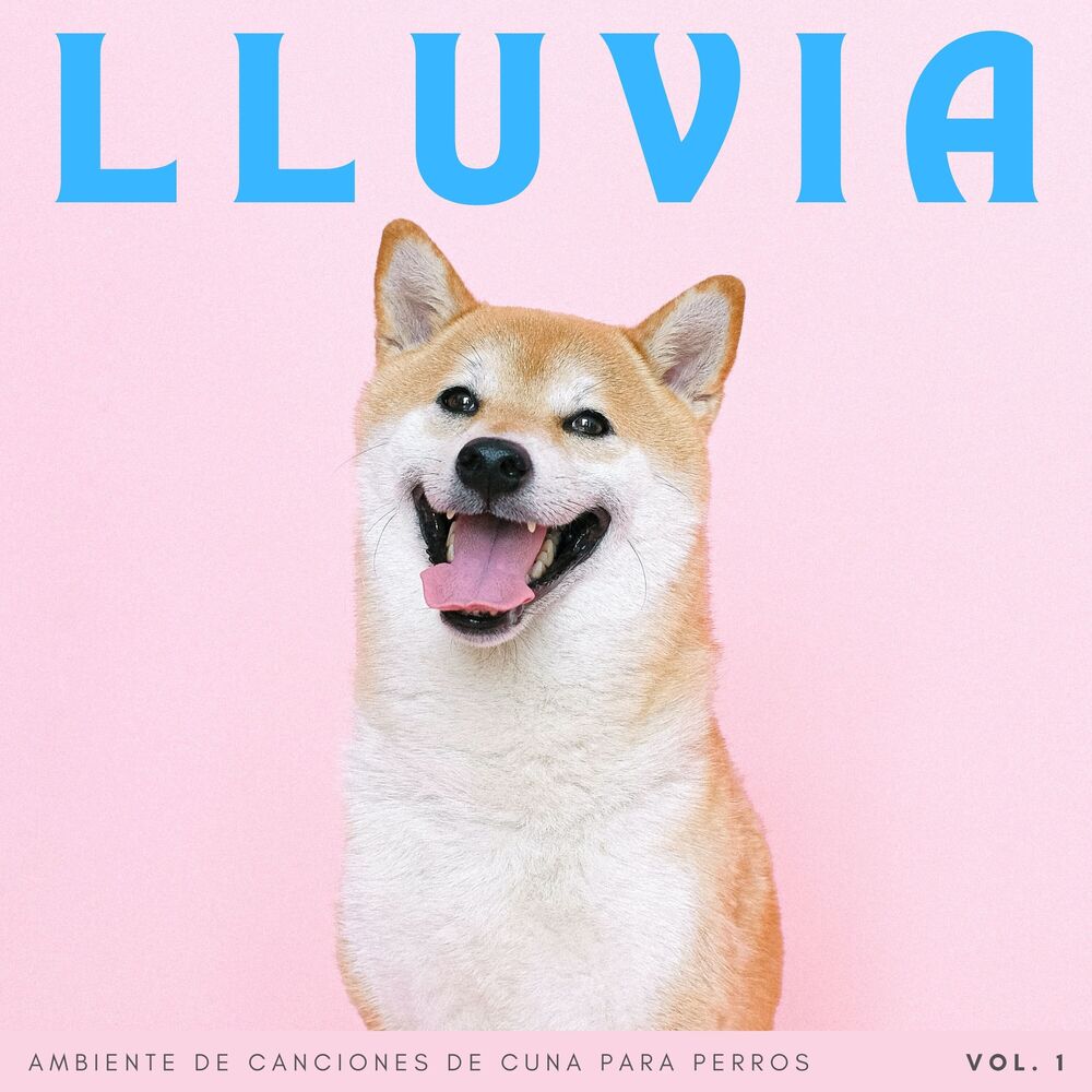 Picture of Lluvia: Ambiente De Canciones De Cuna Para Perros Vol. 1