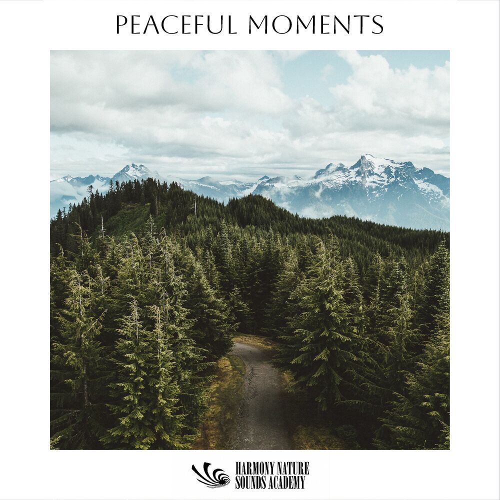 Picture of Peaceful Moments
