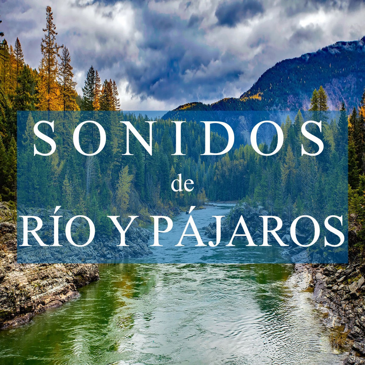 Album cover of Sonidos del Rio y Pájaros