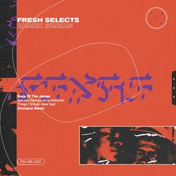 Cover of Things I Should Have Said (Emmavie Remix)