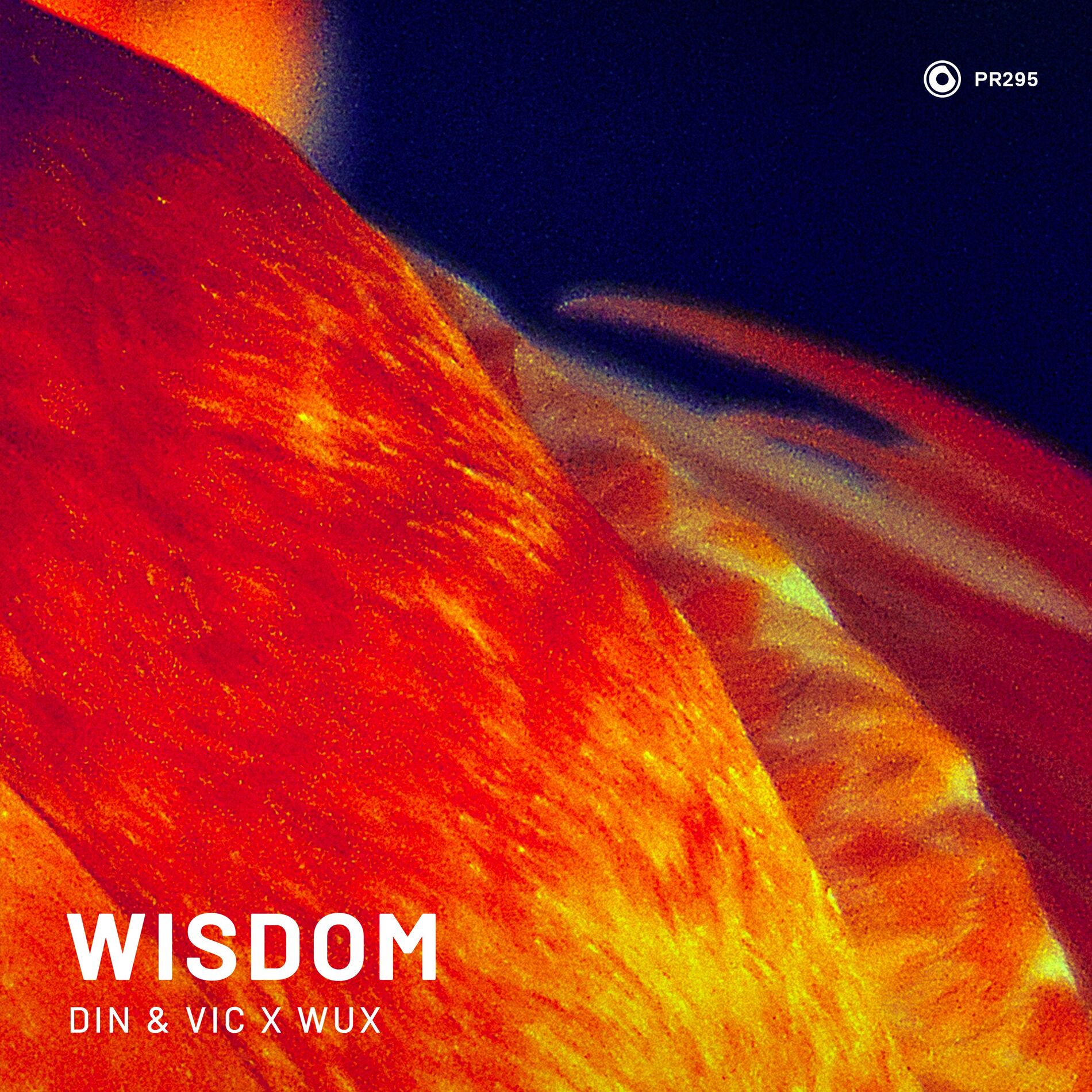Album cover of Wisdom