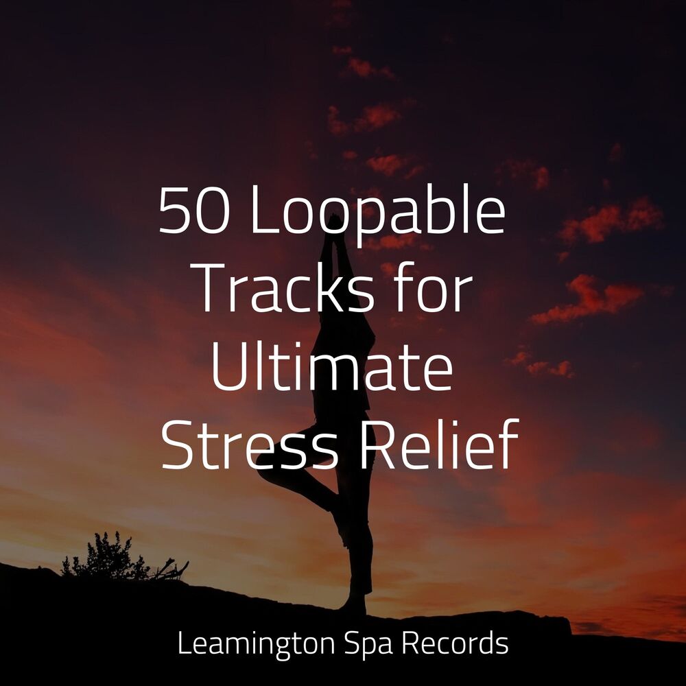 Picture of 50 Loopable Tracks for Ultimate Stress Relief