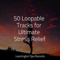 Cover of 50 Loopable Tracks for Ultimate Stress Relief