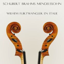 Cover of Schubert, Brahms & Mendelssohn : Wilhelm Furtwängler en Italie