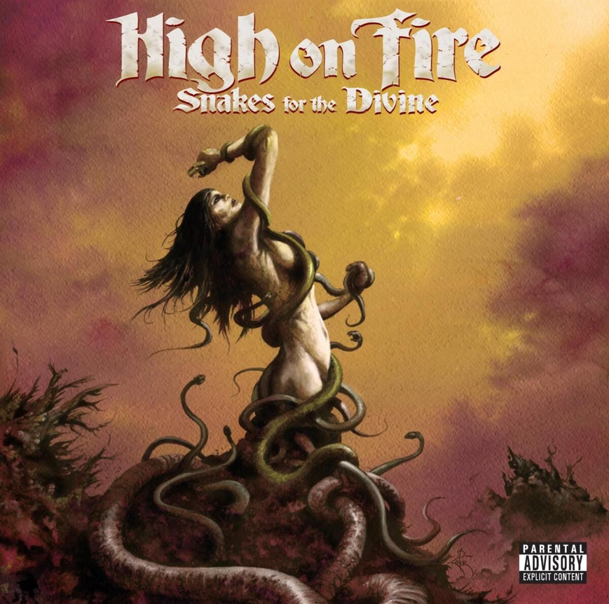 Album cover of Snakes For The Divine