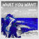 What You Want (feat. Nicole Gartz) (Sophill Remix)