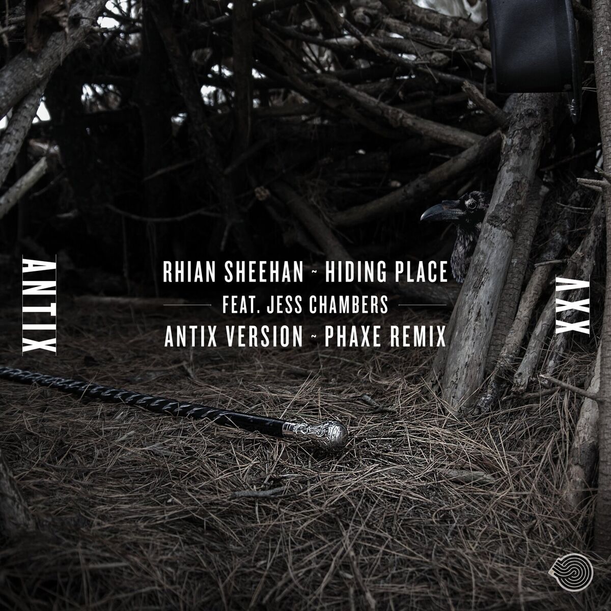 Album cover of Hiding Place