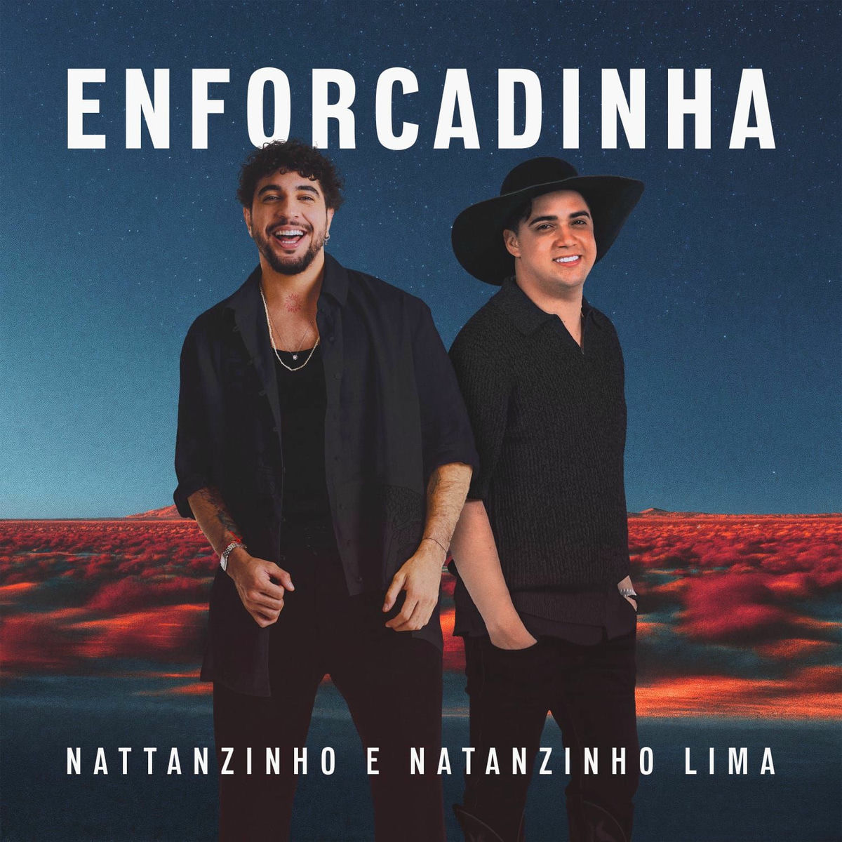 Album cover of Enforcadinha (Caixa da Pandora)