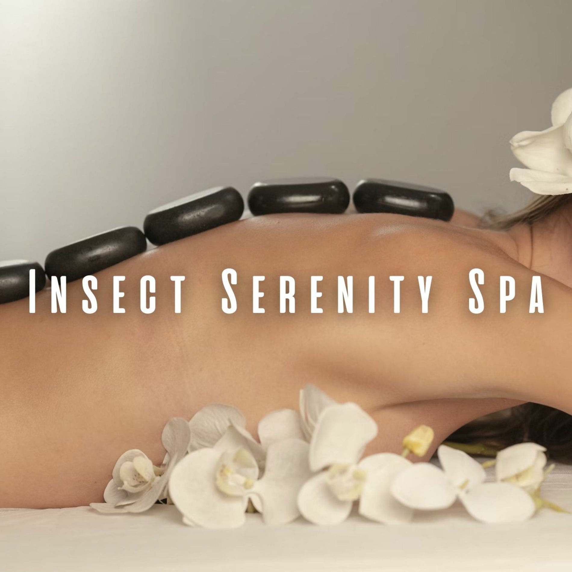 Album cover of Insect Serenity Spa: Ocean Harmony and Chill Music for Pampering
