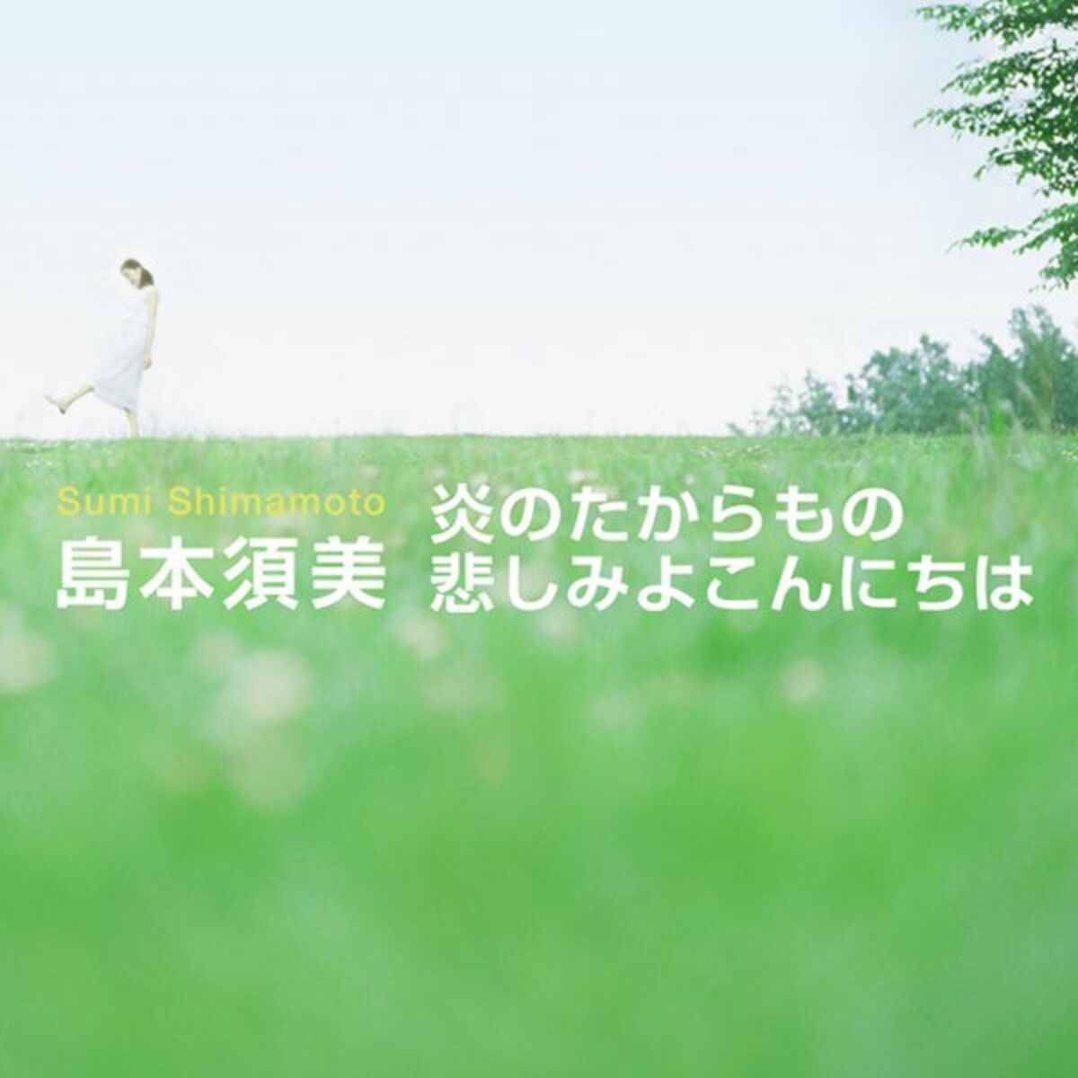 Album cover of Hono no Takara Mono/Kanashimi yo Konnichiha