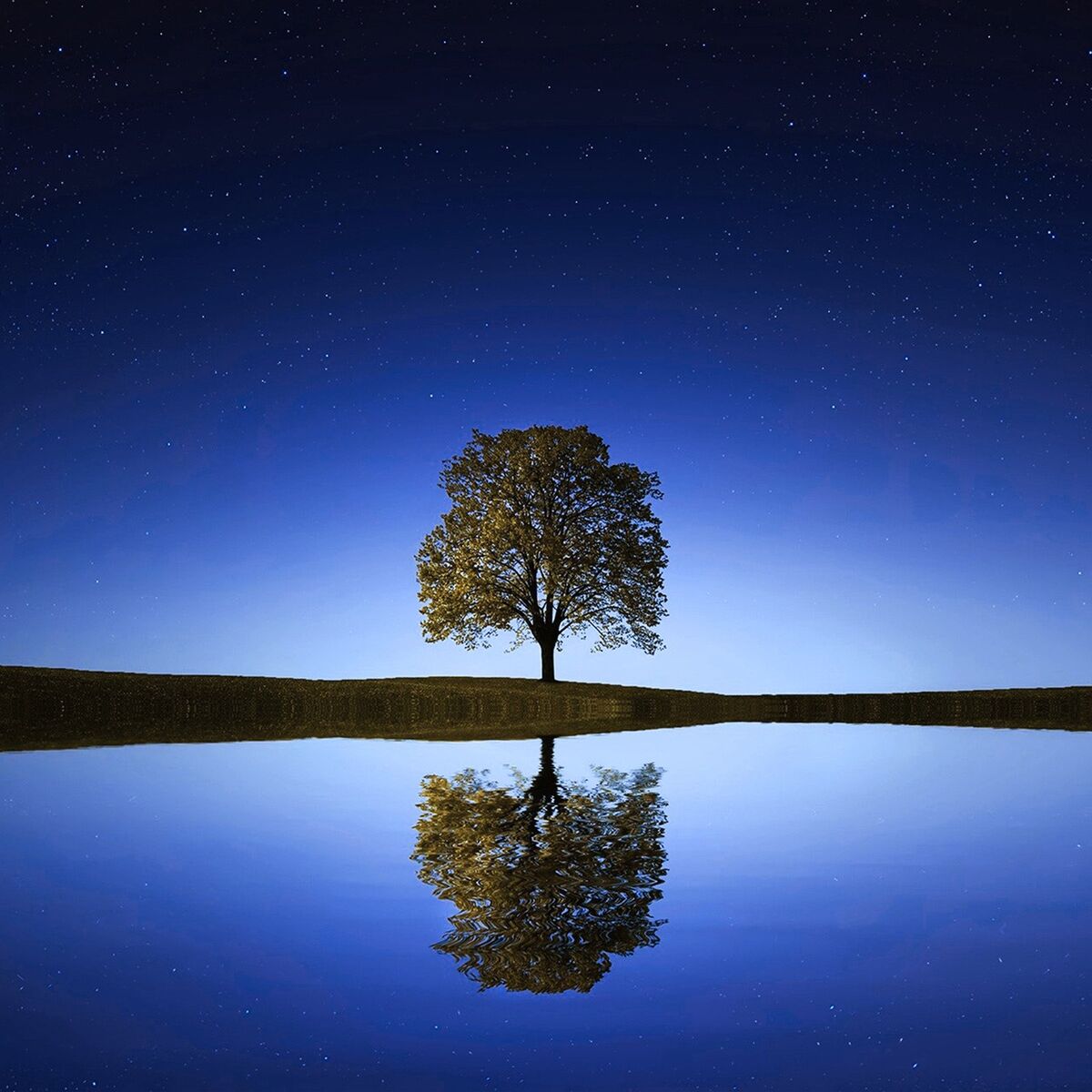 Album cover of Very Calming Music and Relaxation Music