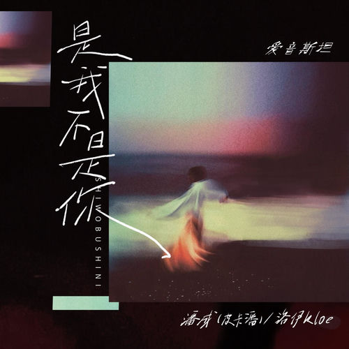 是我不是你