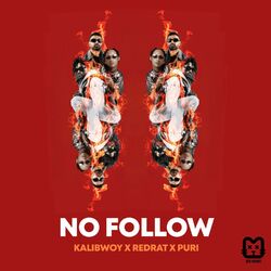 Cover of No Follow