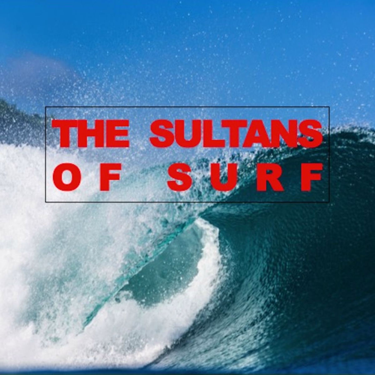 Album cover of The Sultans of Surf